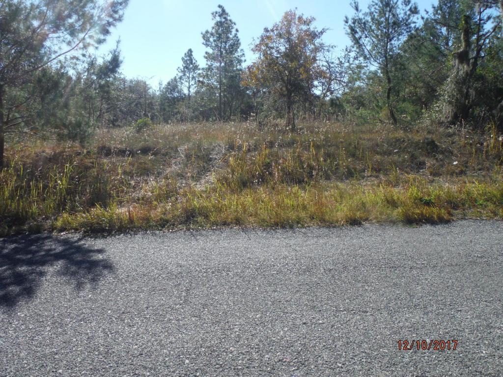 987 Old Welaka Rd - Photo 1