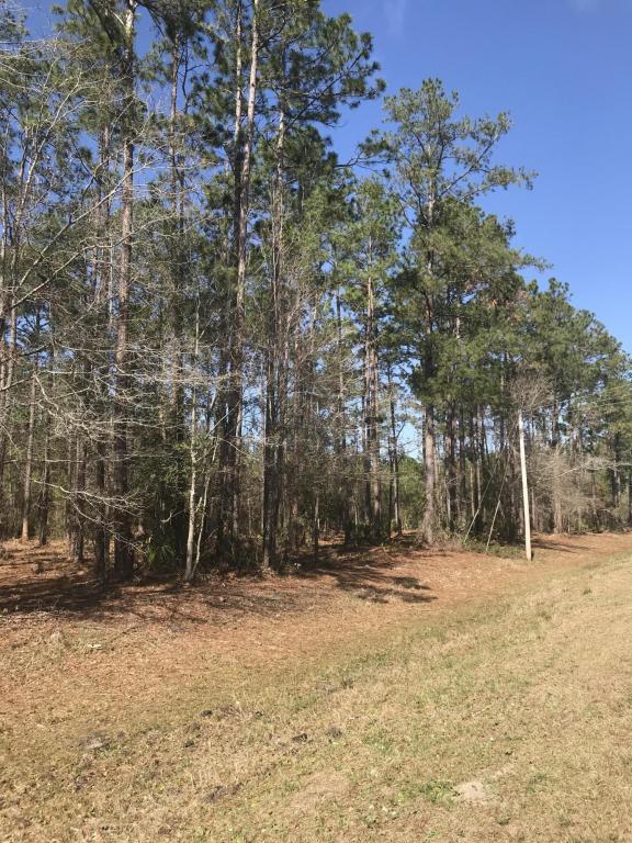 9810 Co Rd 121 - Photo 1