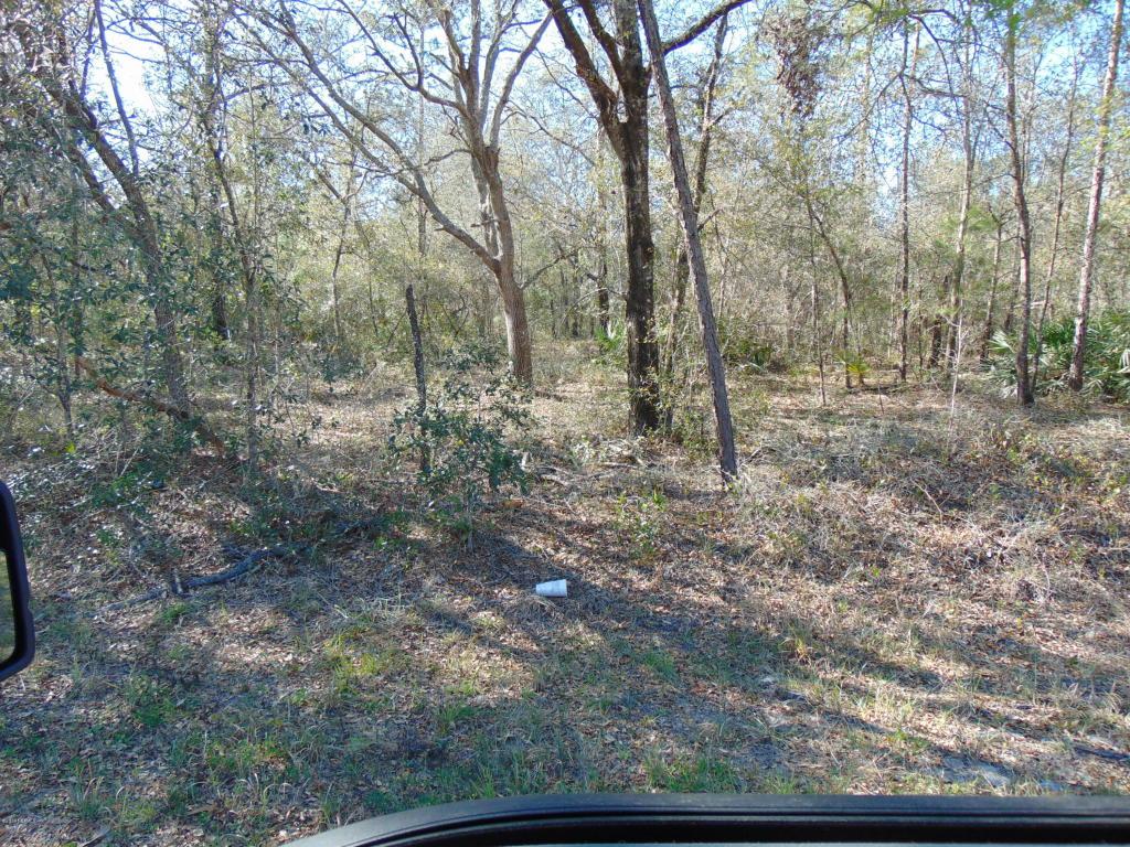 1261 Coral Farms Rd - Photo 1