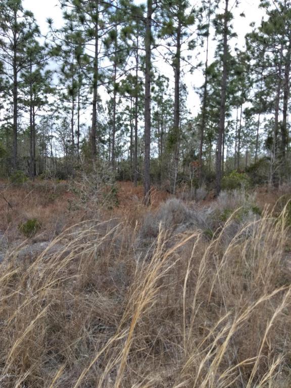4394 Lori Loop Rd - Photo 1