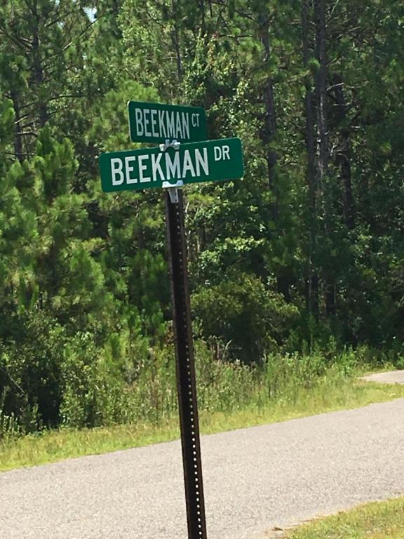17204 Beekman Ct - Photo 1