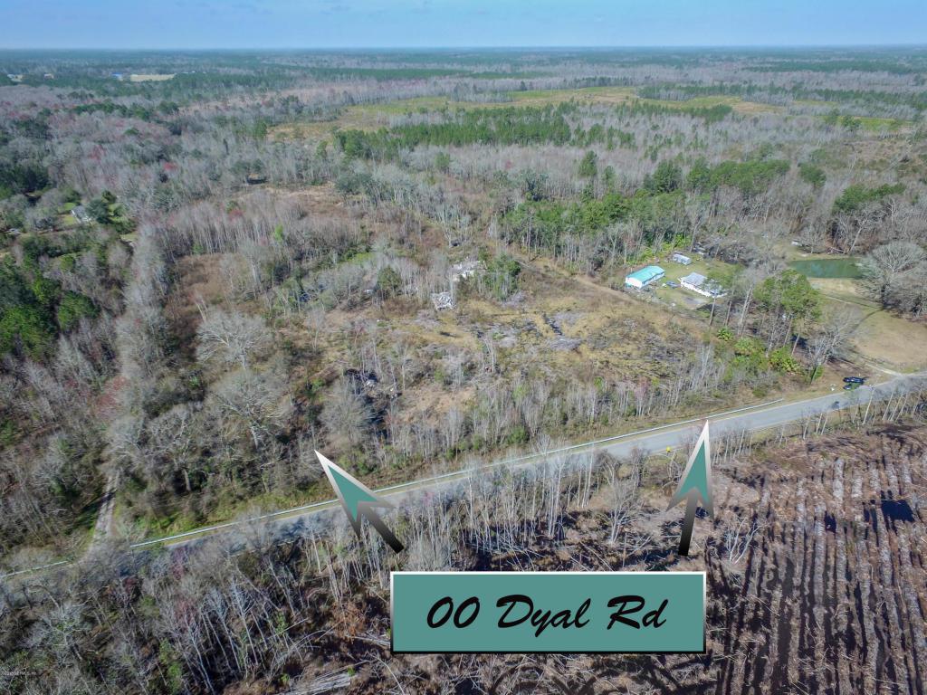 00 Dyal Rd - Photo 1