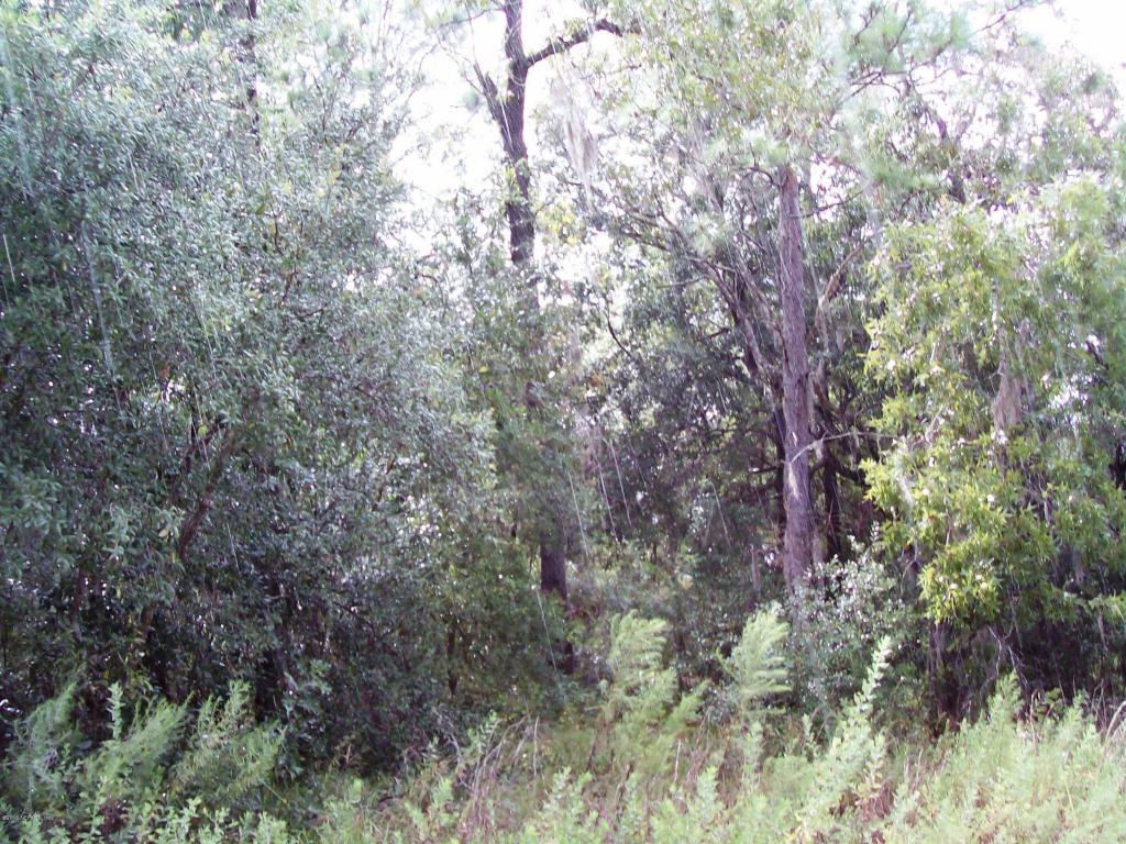 LOT 1 3RD Ave - Photo 1