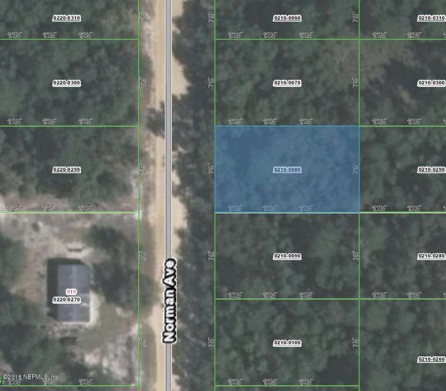00 Norman Ave - Photo 1