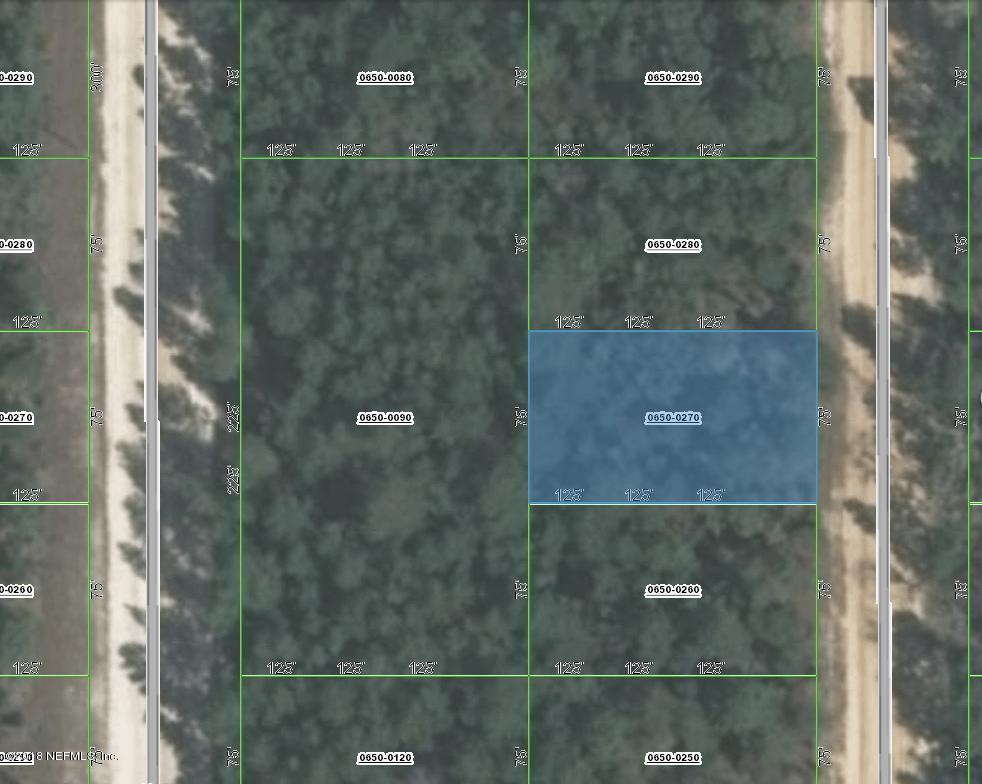 0650-0270 Del Monaco Ave - Photo 1