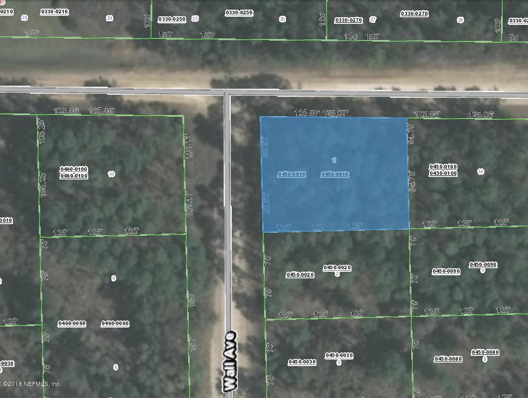 0450-0010 Wall Ave - Photo 1