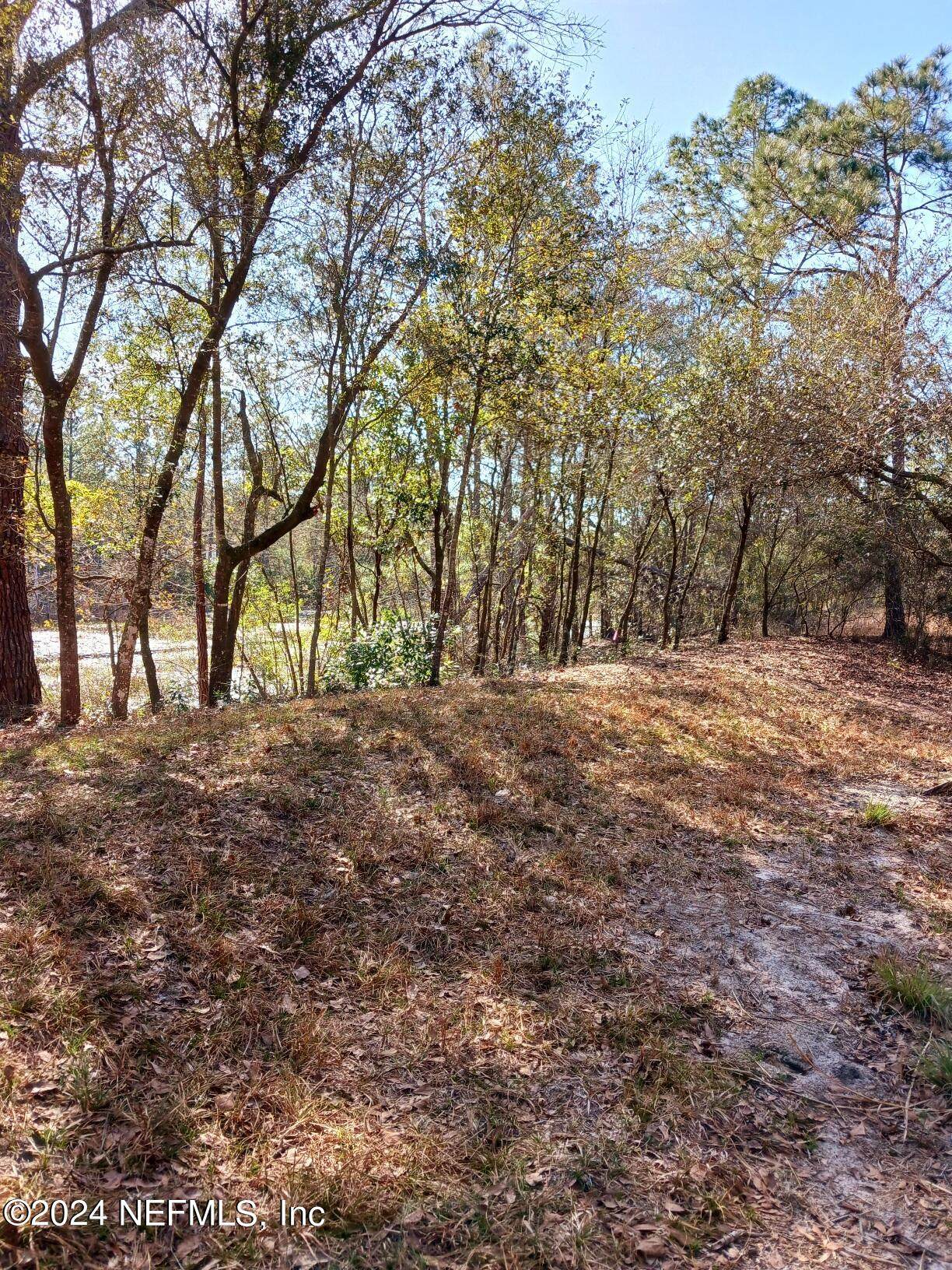 5455 Joshua Street - Photo 1