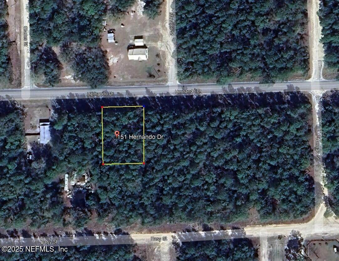 151 Hernando Drive - Photo 1