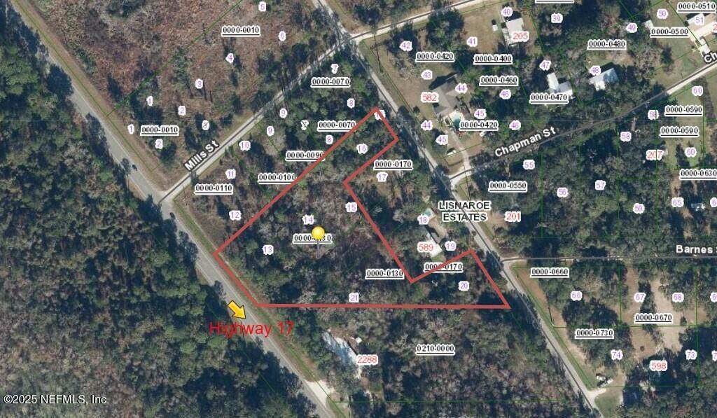 0000 S Highway 17 - Photo 1