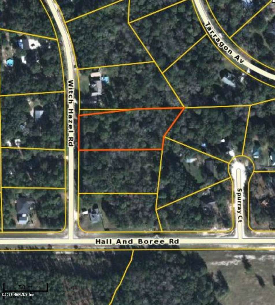 2885 Witch Hazel Rd - Photo 1