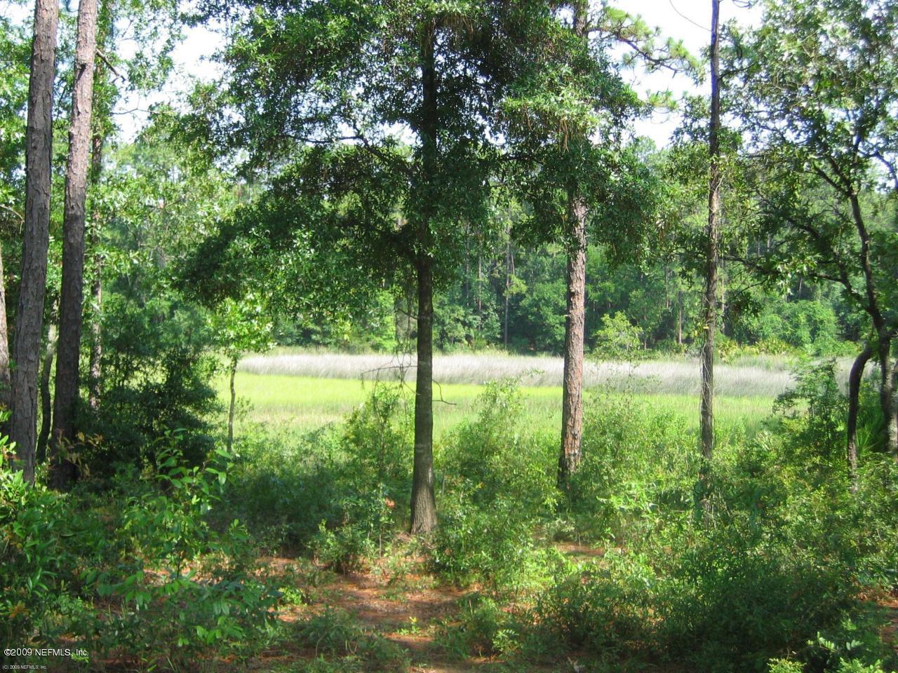 LOT 73 Pine Moss Rd - Photo 1