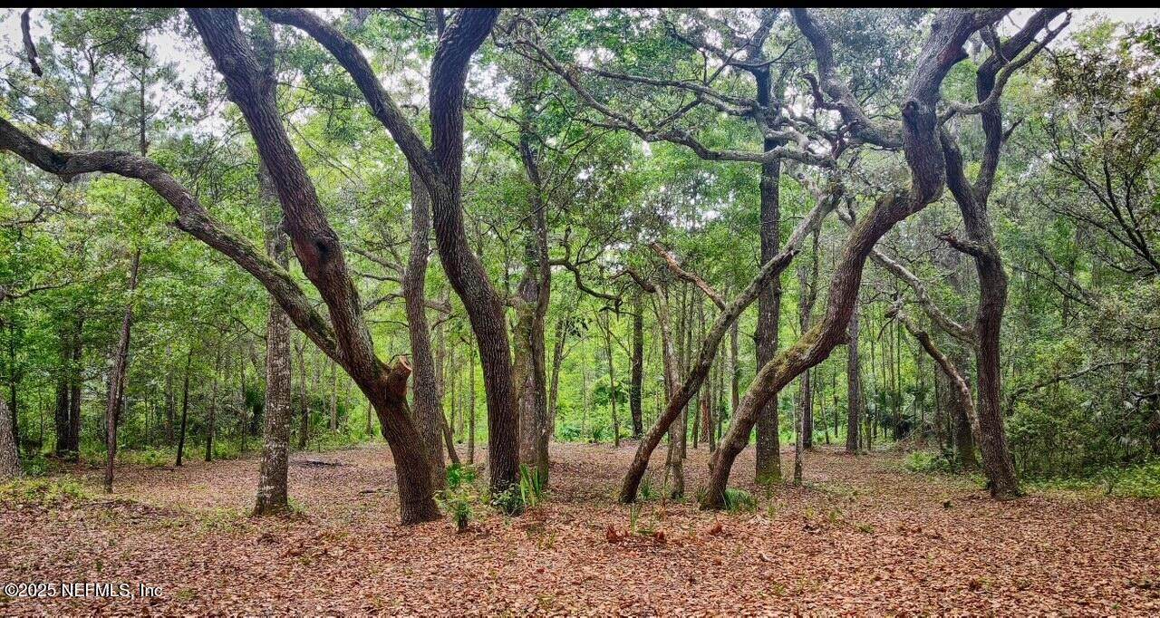 139 Sleepy Hollow Drive - Photo 1