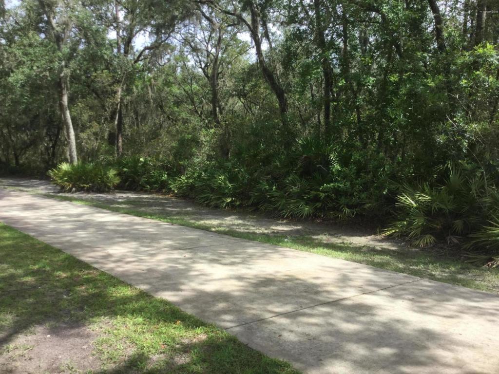 649 Highway 17 - Photo 1