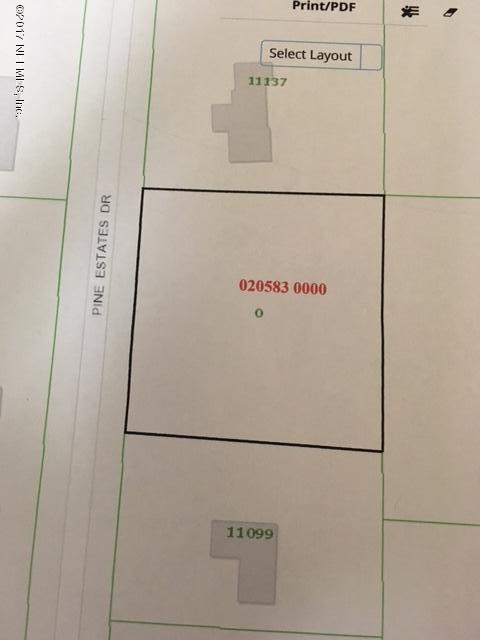 0205830000 Pine Estates Dr - Photo 1