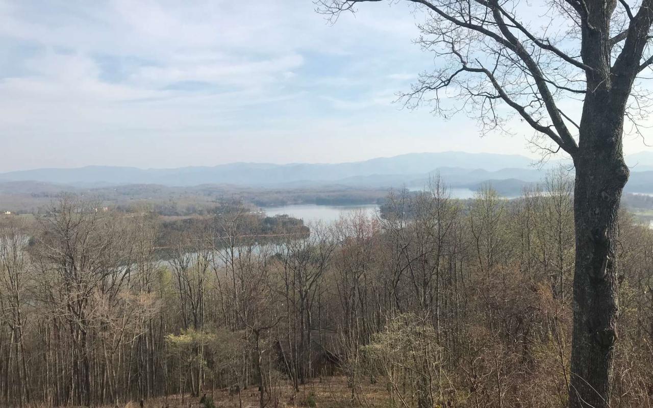 1089 Frog Pond Rd. - Photo 1