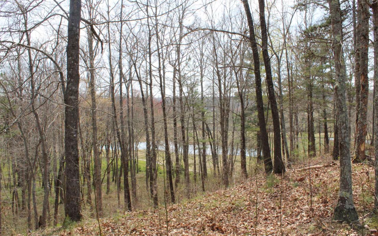 #59 Yonah Way - Photo 1