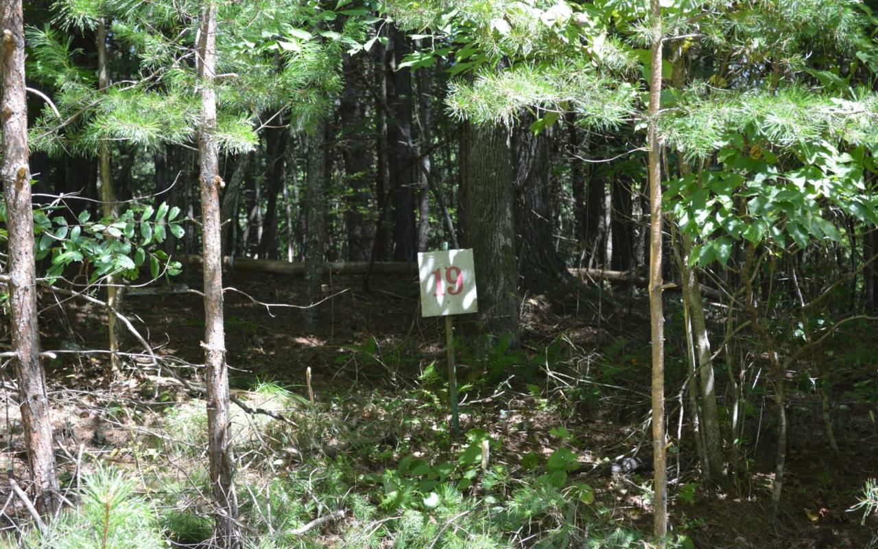 Lot #19 Brook Haven - Photo 1