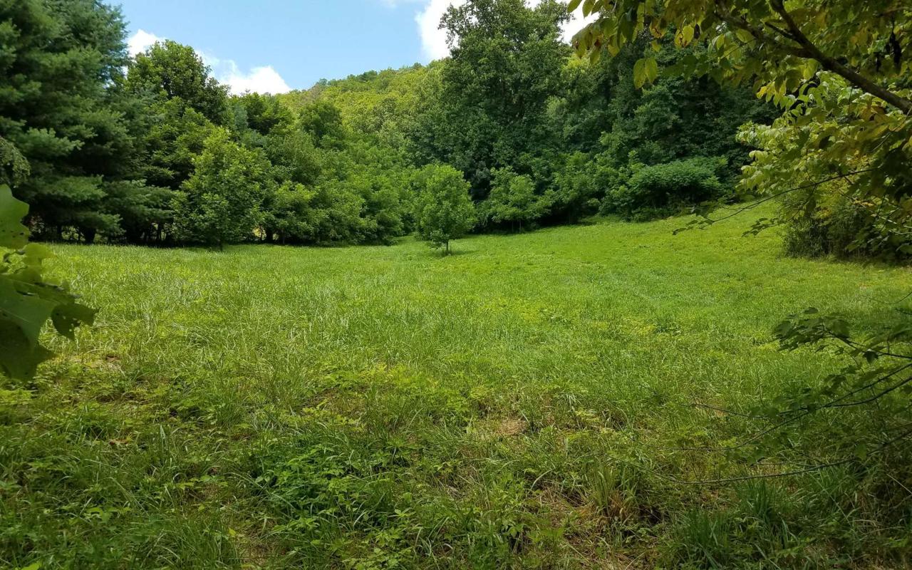 Crowe Road - Photo 1