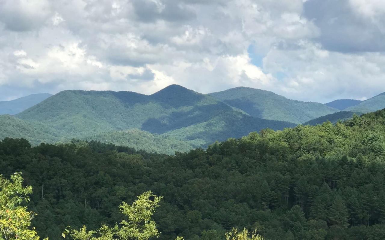 LT 50 Kudzu Creek Trail - Photo 1