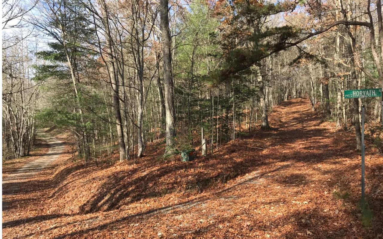 006 Horvath Rd - Photo 1