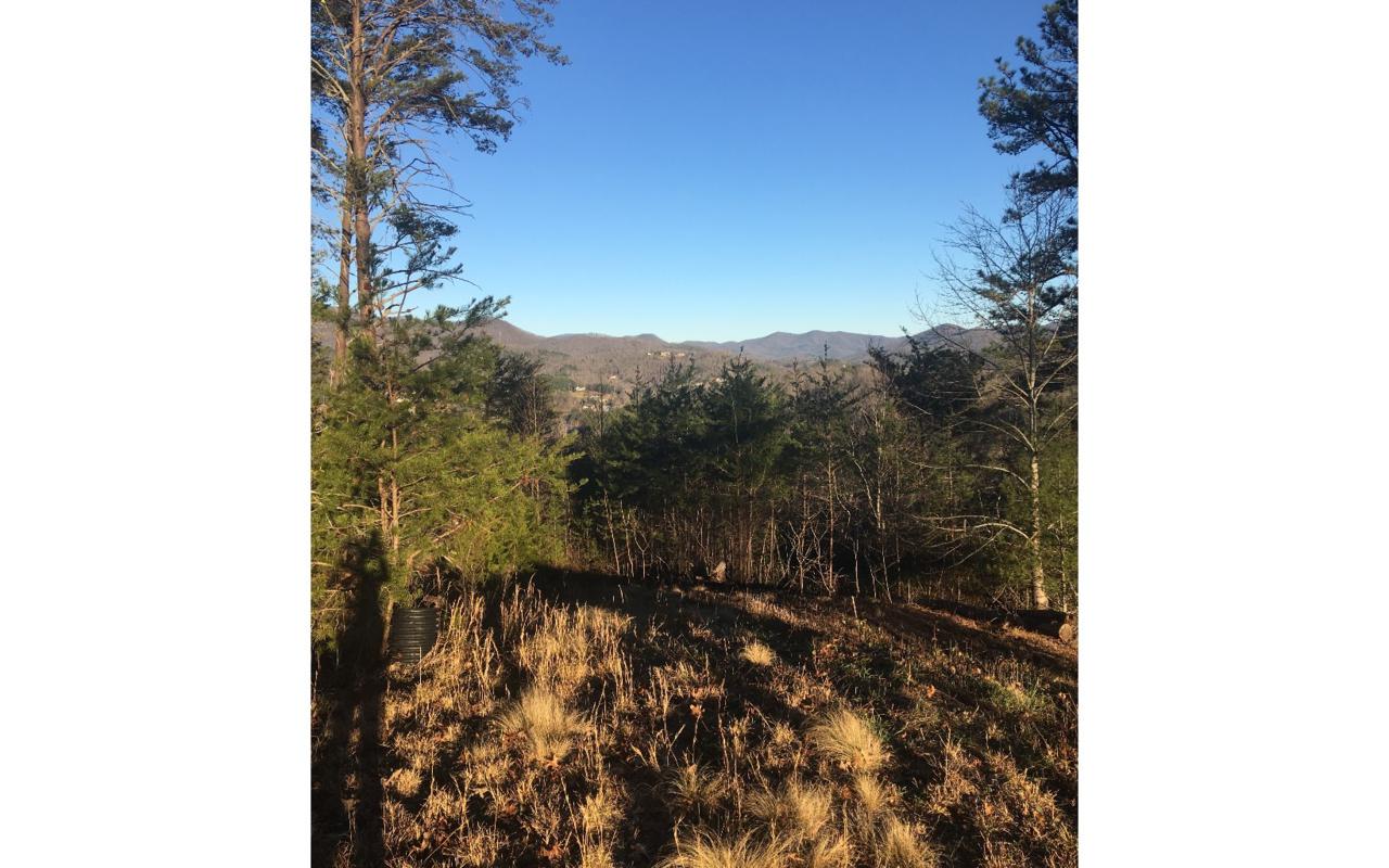 2385 Brown Heights Rd. - Photo 1
