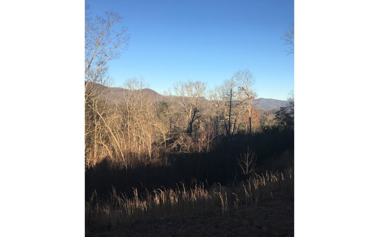 2374 Haven Heights Rd. - Photo 1