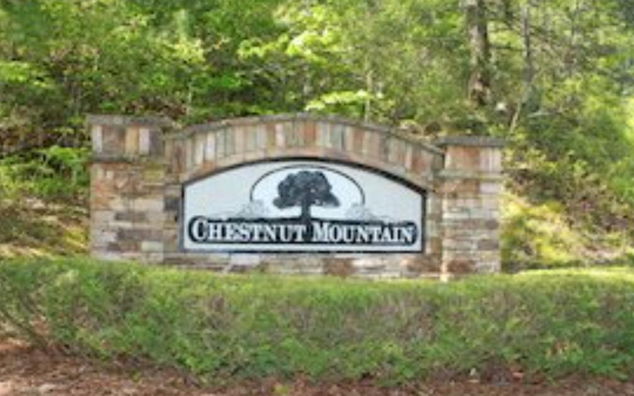 LT 43 Chestnut Mountain - Photo 1