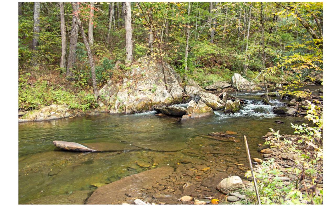 LT16A Fires Creek Cove - Photo 1 LT16A Fires Creek Cove - Photo 1