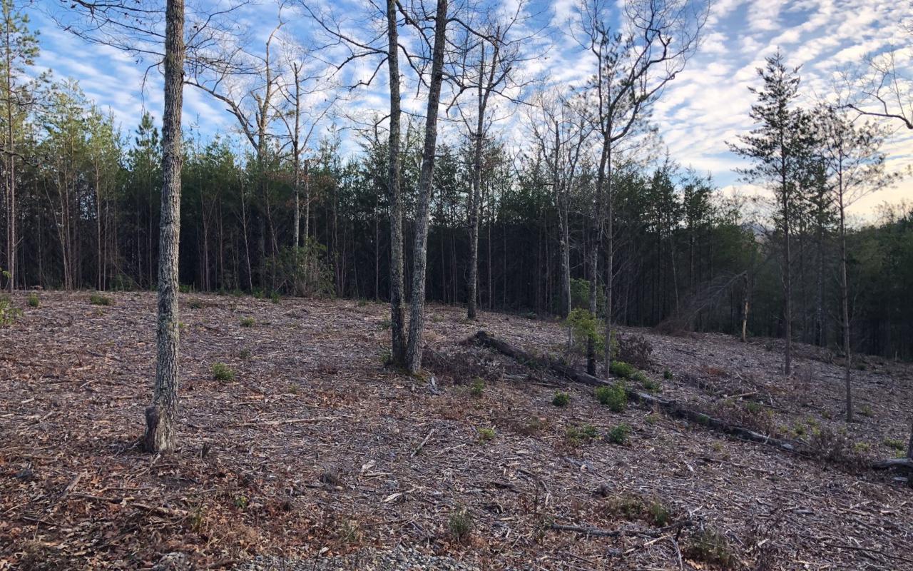 LOT51 Double Springs - Photo 1