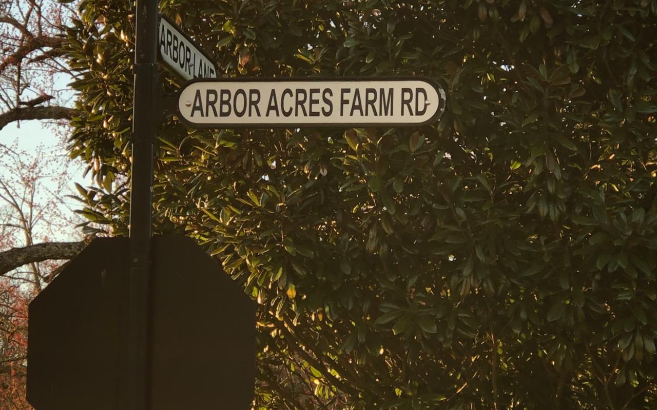LT 85 The Arbor Ii - Photo 1