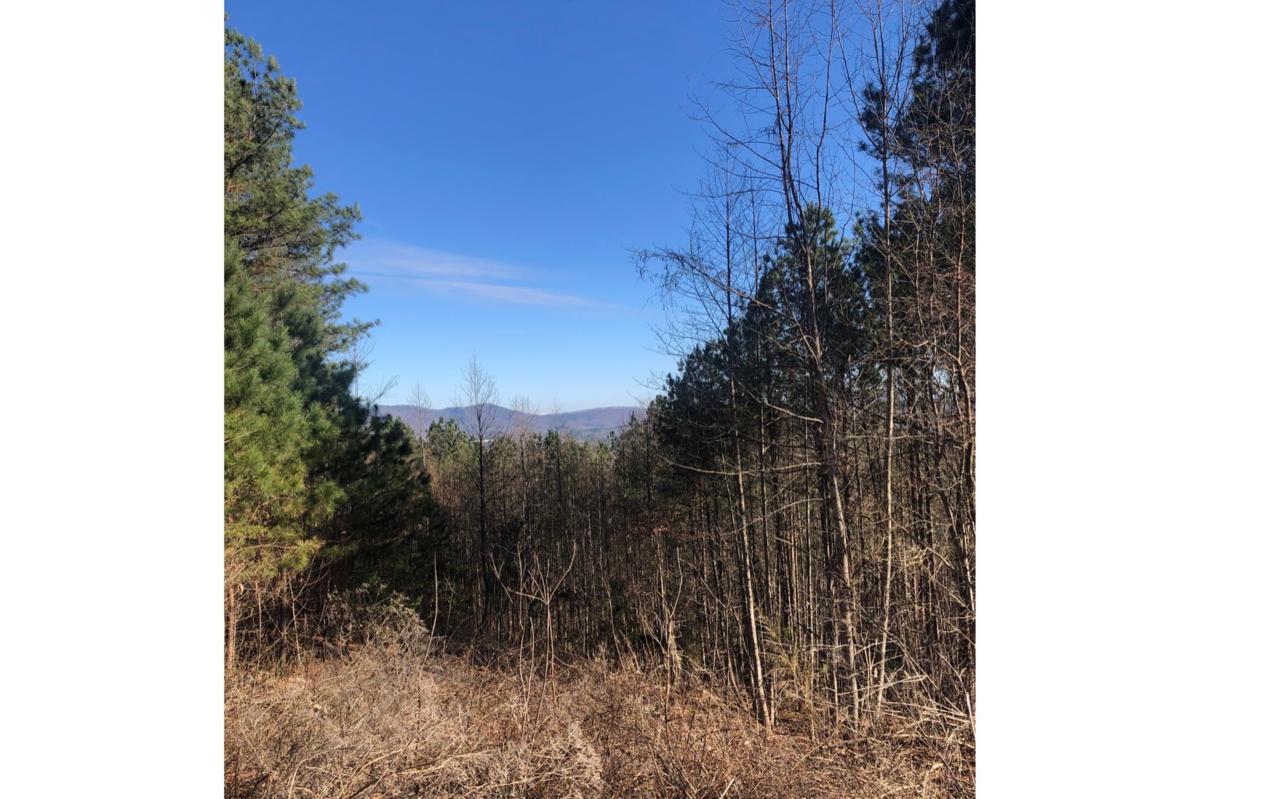 24 Loftis Mountain - Photo 1