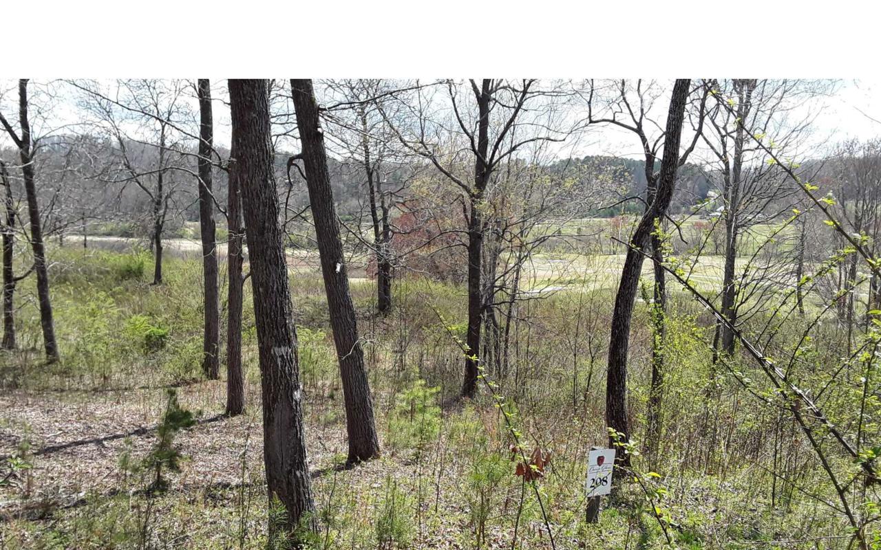 LT208 Owen Glen - Photo 1