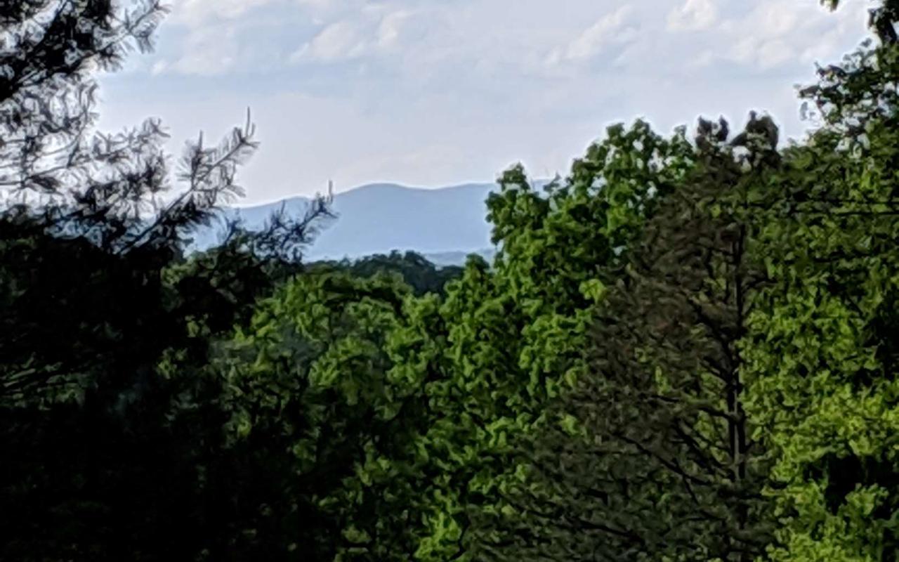 7.4AC Mabrey Lane - Photo 1