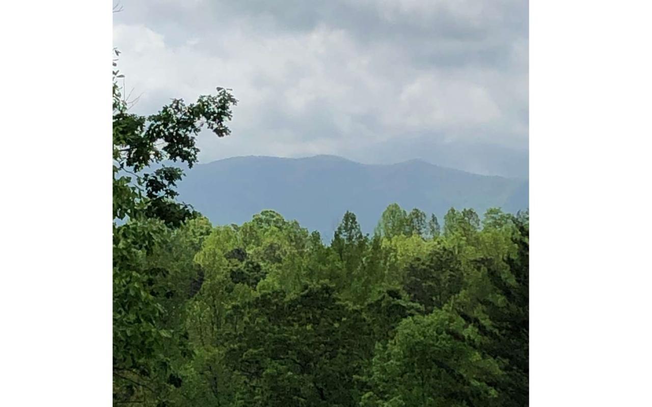 LOT 6 Ruby Ridge - Photo 1