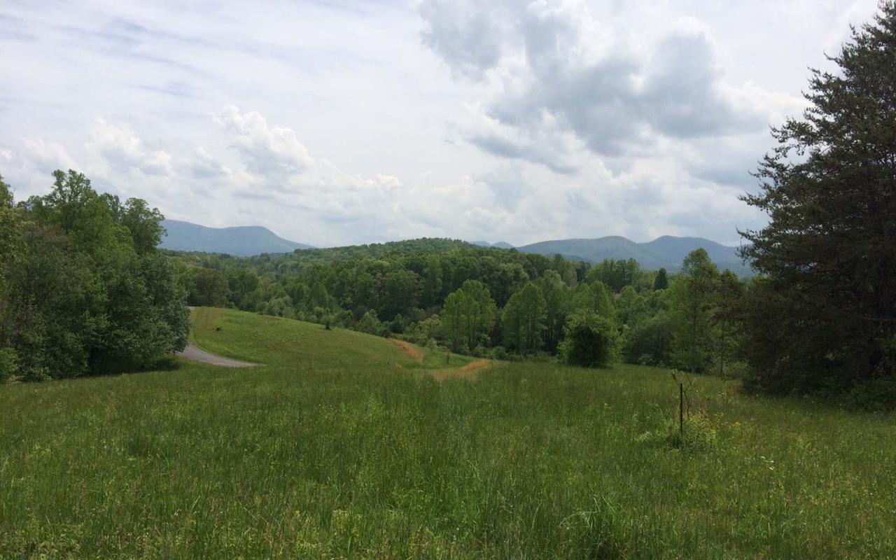 LT 54 The Preserve - Photo 1