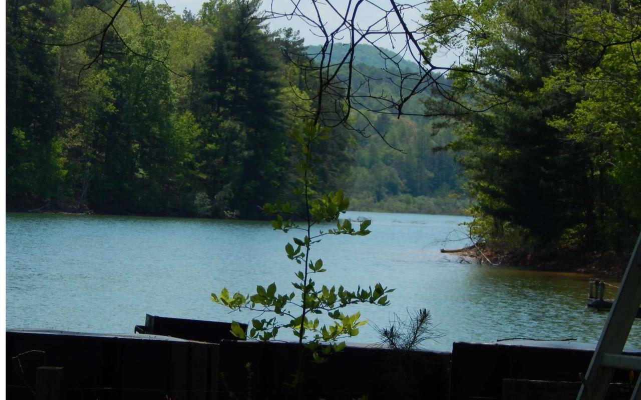 36 Cozy Cove Trail - Photo 1