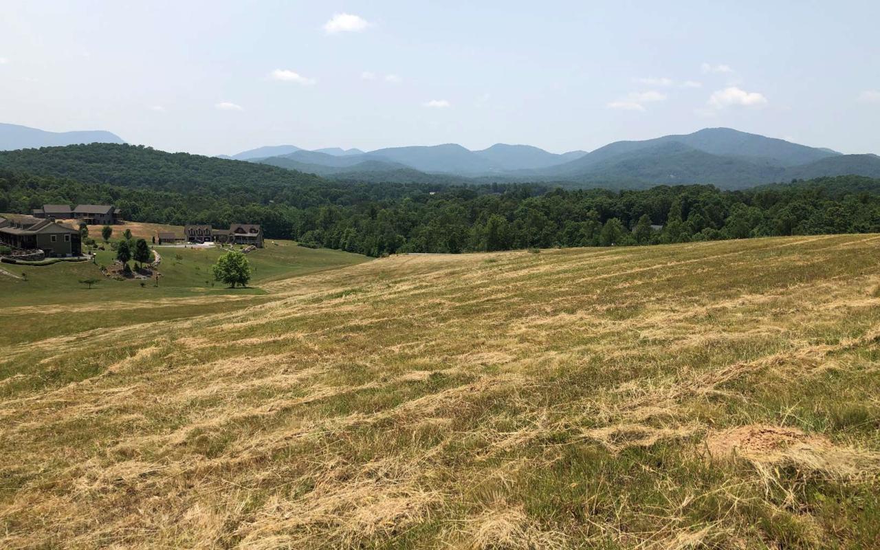 LT 26 The Preserve - Photo 1