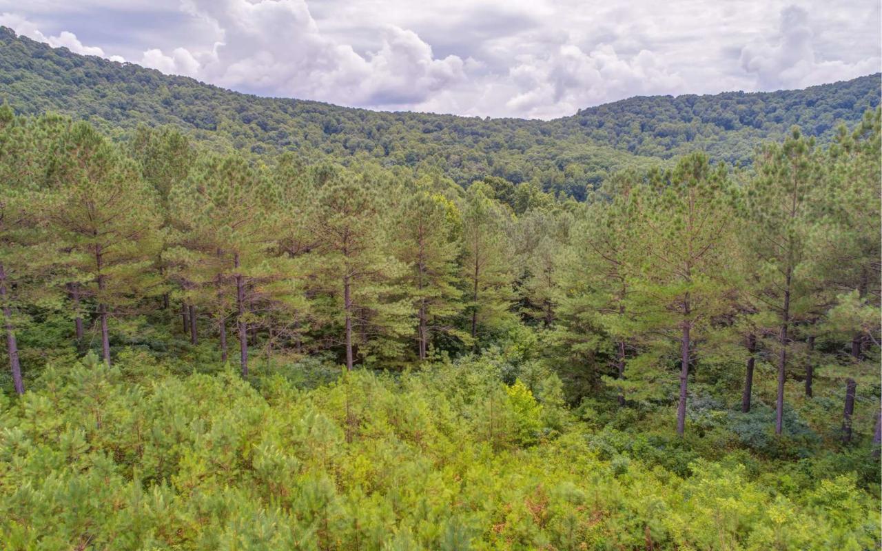 LOT10 Eastview Trail - Photo 1 LOT10 Eastview Trail - Photo 1