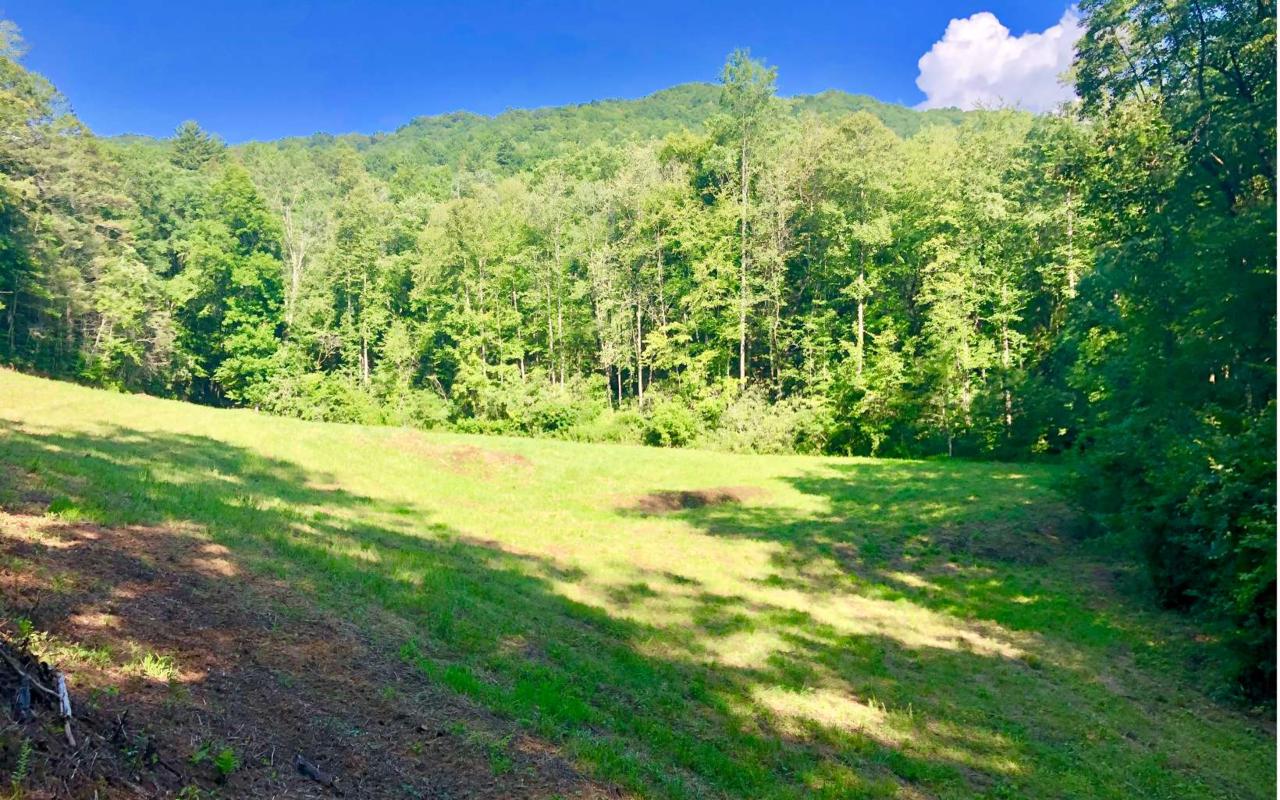 Dinkins Creek Road - Photo 1