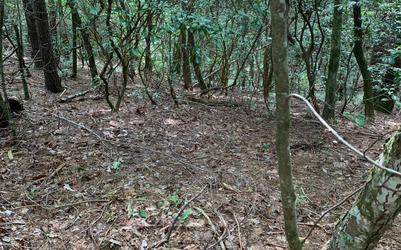 LOT25 Highland Falls - Photo 1