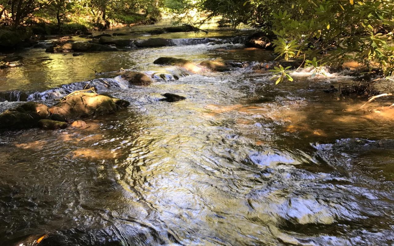 Big Creek Road - Photo 1