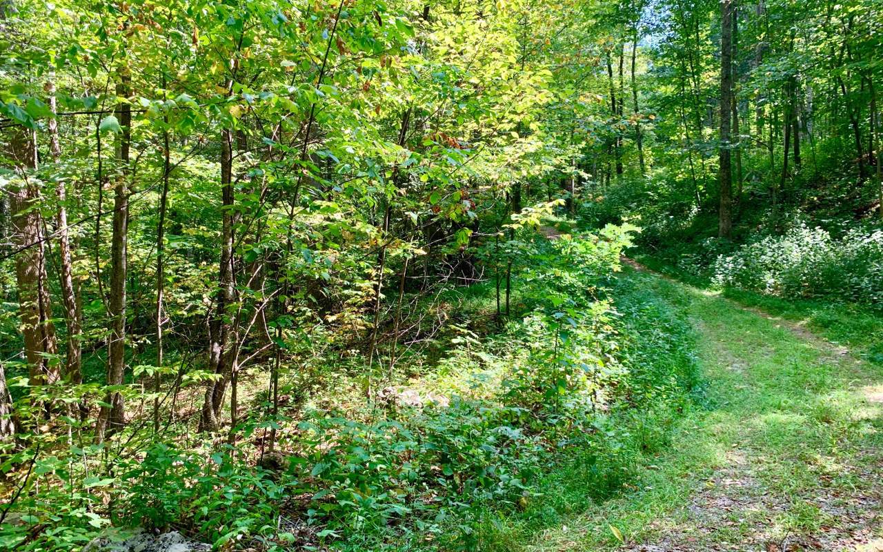 38 Spring Cove Lot 38 - Photo 1 38 Spring Cove Lot 38 - Photo 1