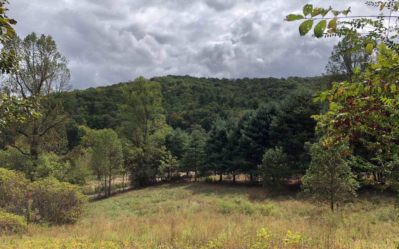 26 Hidden Hill Farm - Photo 1