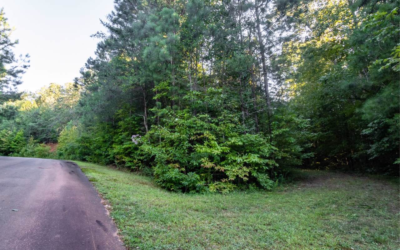 East Ridge Lot #30 - Photo 1