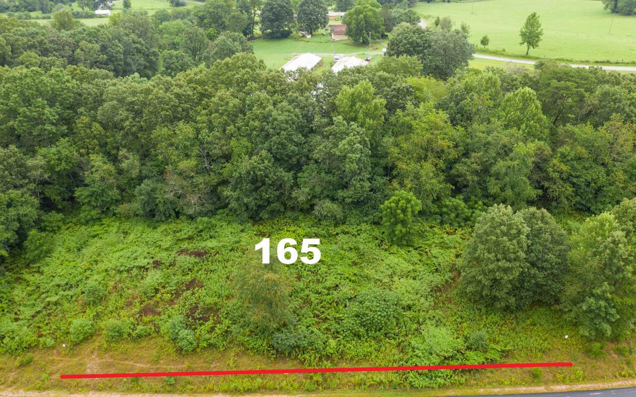 L 165 Owen Glen Lane - Photo 1
