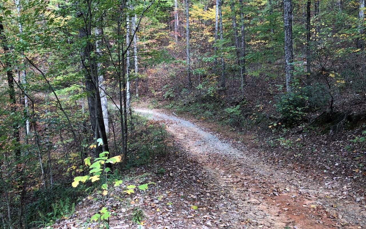 20 23B LAKE VIEW RD LOT - Photo 1