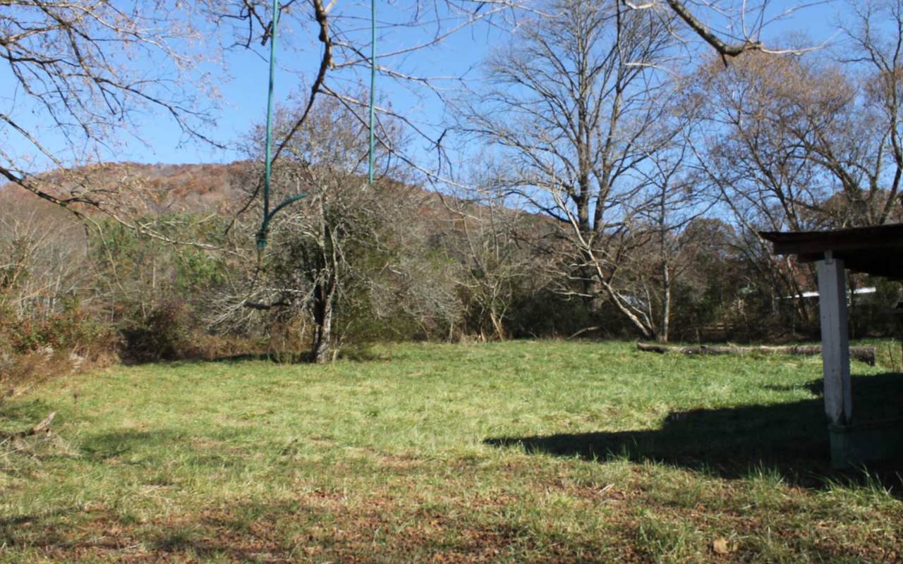 7540 Hwy 294 - Photo 1