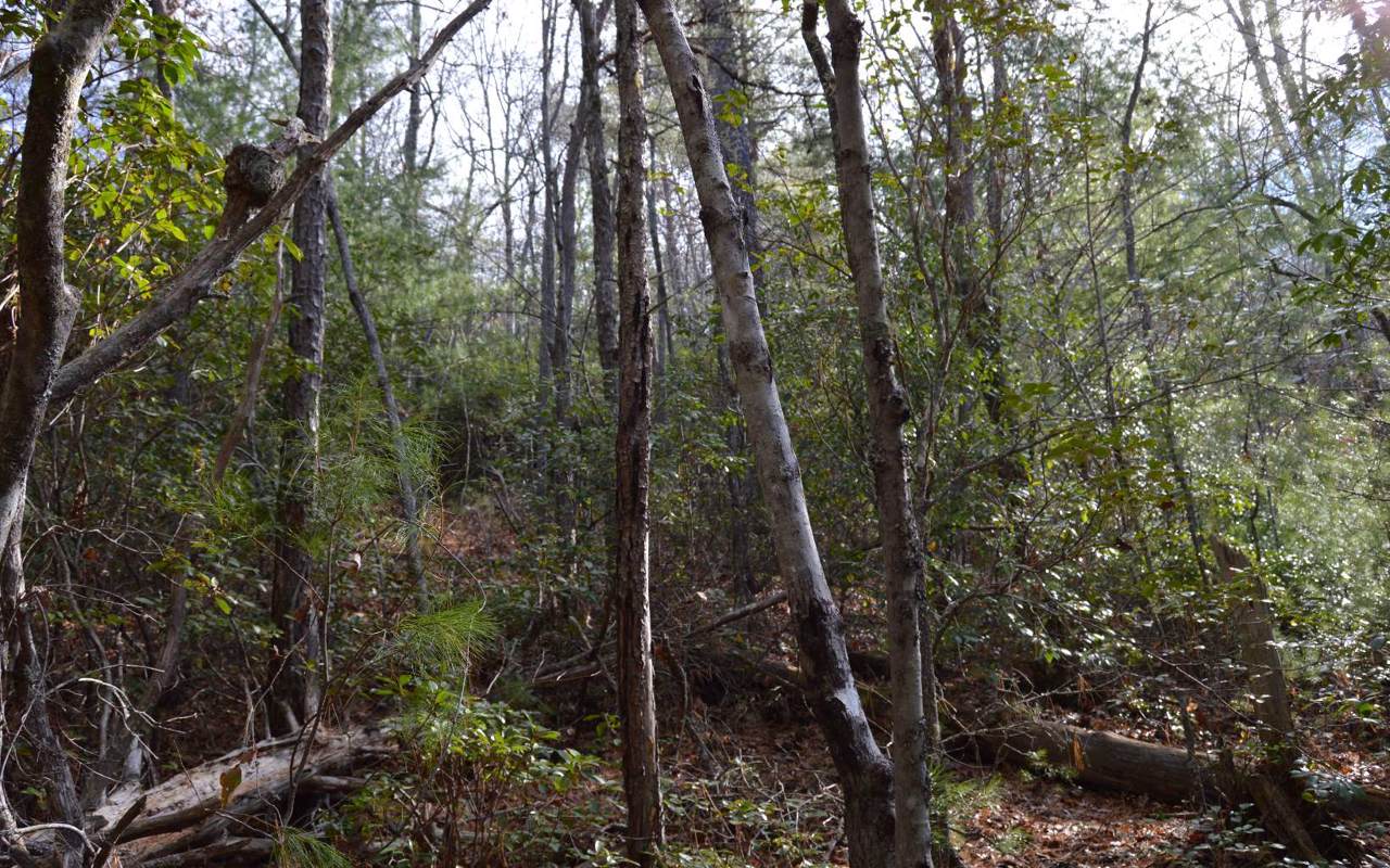 TR. 5 Upper Hightower Road - Photo 1