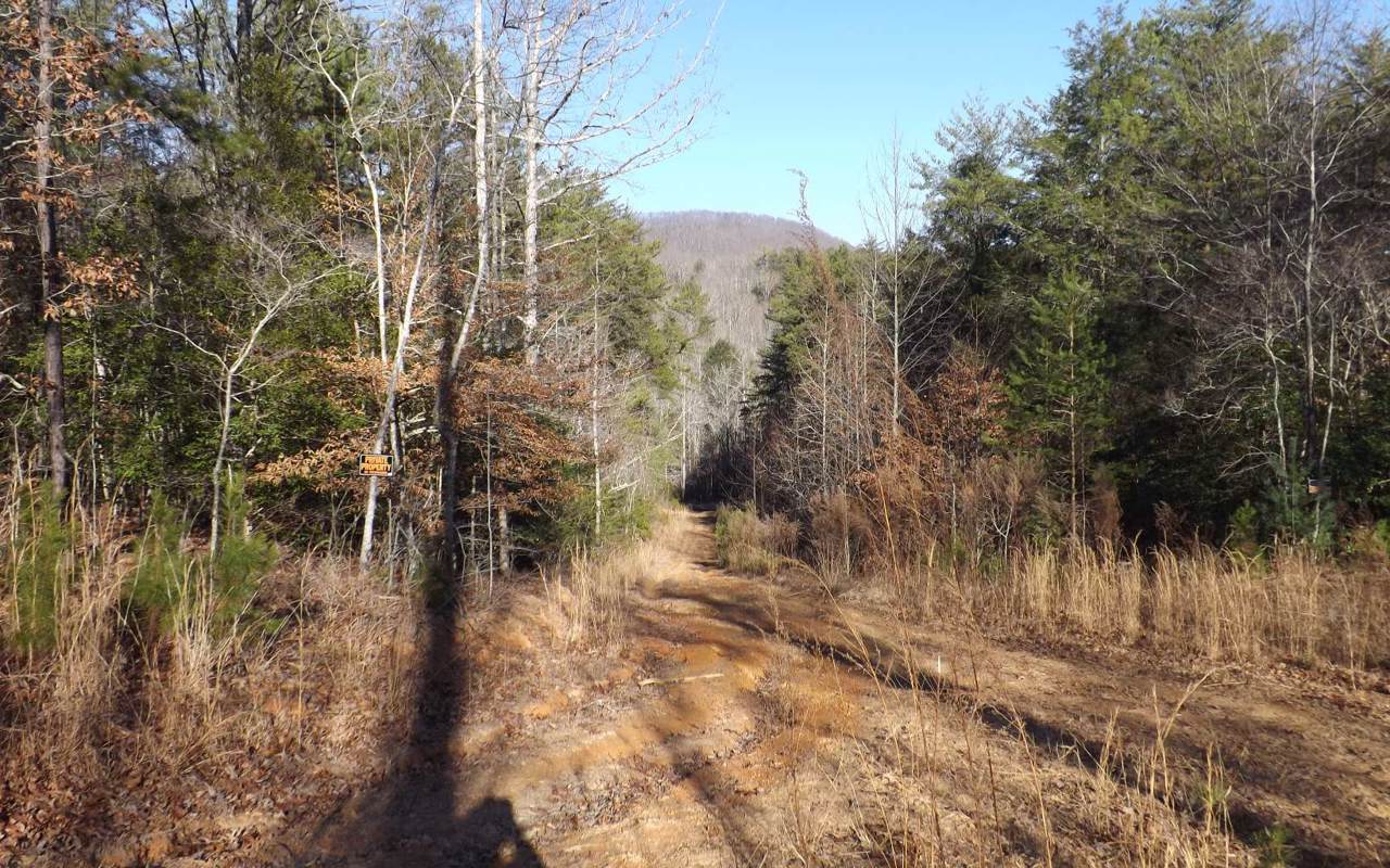 Sam Dye Road - Photo 1