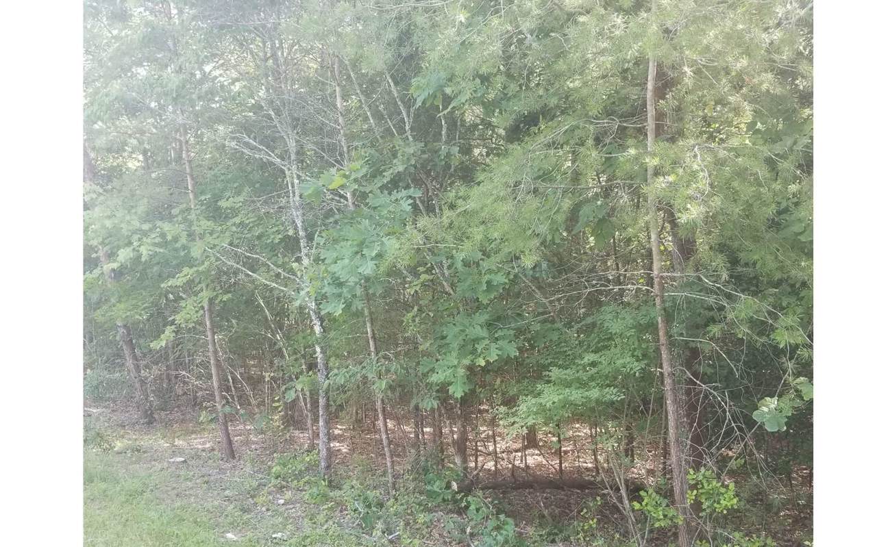 3 Eagle Bend - Photo 1